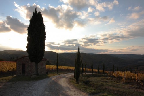 Radda in Chianti - La strada verso il tramonto Radda in Chianti - La strada verso il tramonto