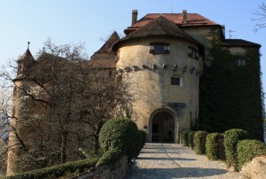 Un amore di castello!