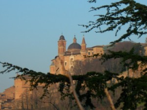 Panorama oltre i rami