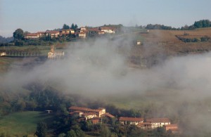 La frazione di Cocconito nella nebbia