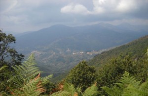 Castiglione vista dal monte San Nicolao