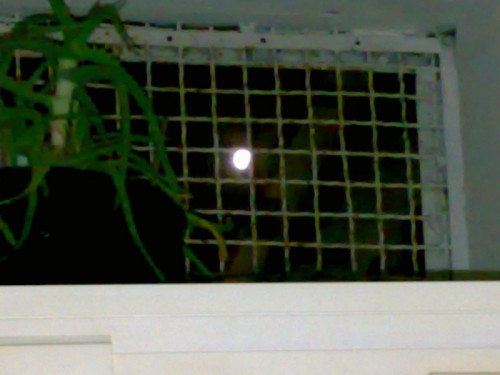 Noci - luna prigioniera Noci - luna prigioniera