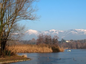 Il lago di Sartirana a gennaio