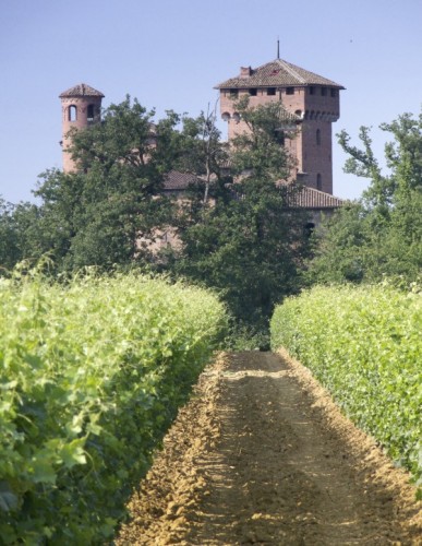 Francavilla Bisio - Castello di Francavilla Bisio con vigna