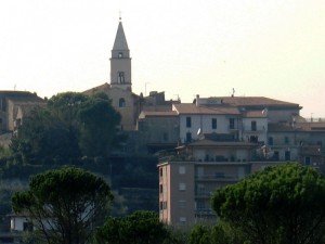Il pino e il campanile