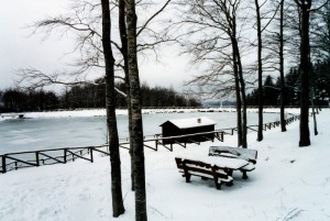 Piccola oasi di pace