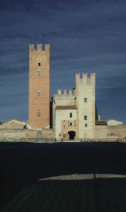 Non t’amo come se fossi rosa di sale, topazio o freccia di garofani che propagano il fuoco: t’amo come si amano certe cose oscure, segretamente, tra l’ombra e l’anima.