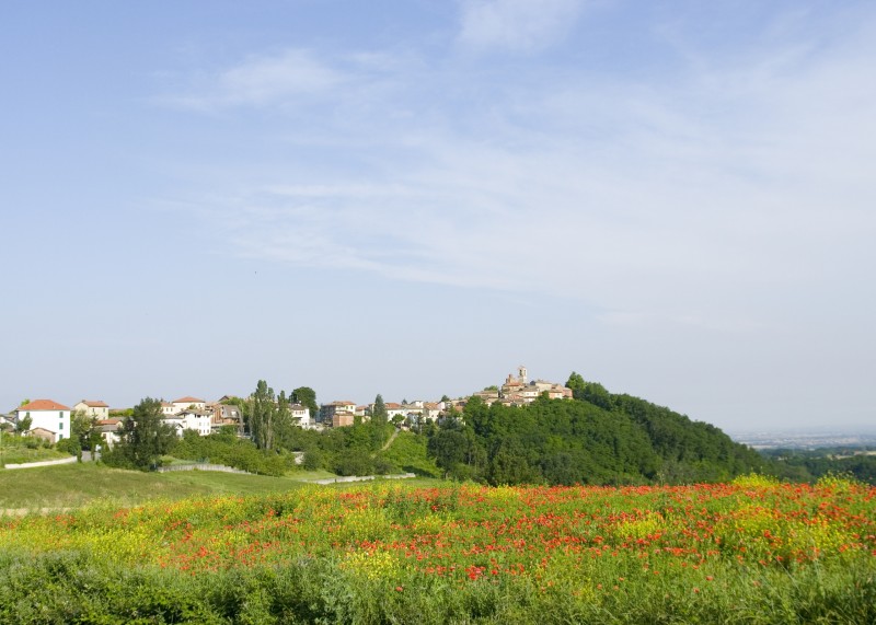 ''Gavazzana in primavera'' - Gavazzana