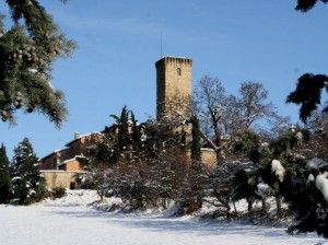 Castello Pallavicino a Contignaco