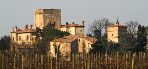 Selvazzano Dentro - Il Castello della Montecchia Selvazzano Dentro - Il Castello della Montecchia