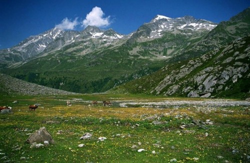 Campo Tures - La valle e le vedrette Campo Tures - La valle e le vedrette