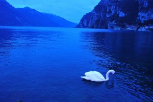 sull riva del lago (Riva del Garda)