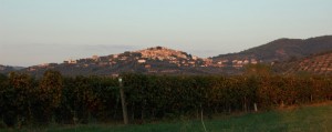 Vista di Castagneto