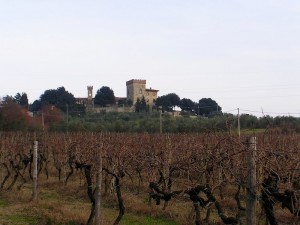 Volognano - Il Castello e le sue vigne