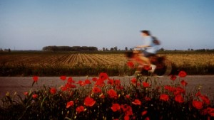 ROMADIPALO FRAZIONE LENDINARA