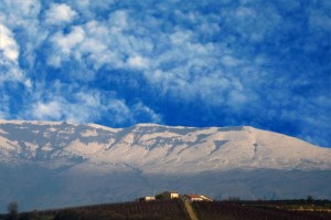 Nelle campagne di Tarsia