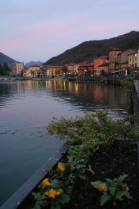 Fiori d’inverno di sera