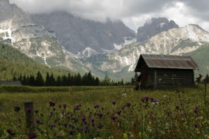 Val Grande di Padola 5