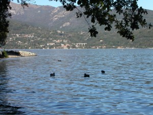 Lago d’Orta: Pettenasco visto da Pella