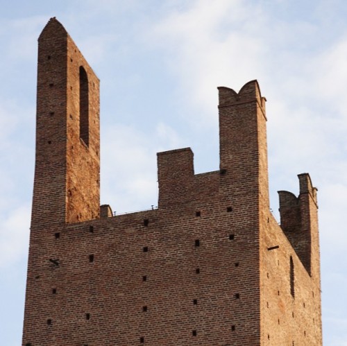 Rovigo - Torre Donà: I Merli