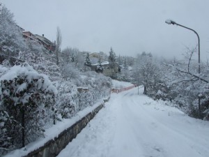 monteleone in neve