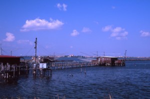 ….e sullo sfondo Comacchio