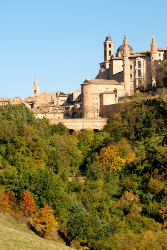 Urbino - Il palazzo e la campagna