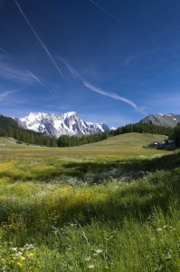 Petosan - La Thuile