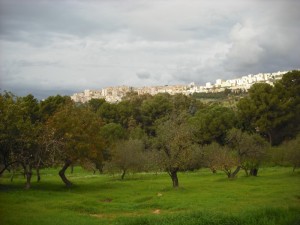 Silenzio Agrigentino