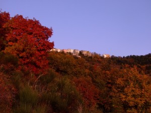 autunno sotto schiavi