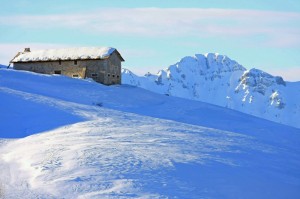 MALGA A RIPOSO