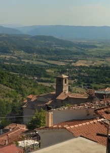 inseguendo una libellula in un prato…