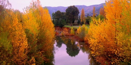 Garlenda - Foglie d'autunno