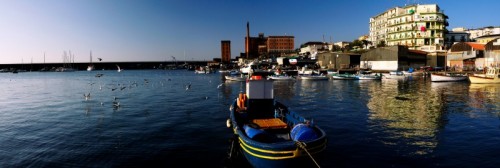 Torre del Greco - il volo dei gabbiani Torre del Greco - il volo dei gabbiani