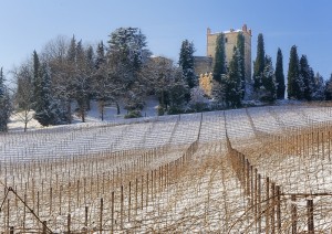 Langhe “bolognesi”