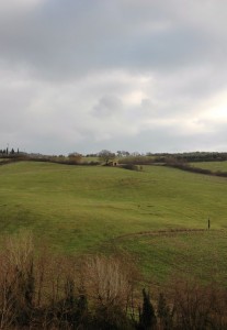 Colline di Molin del Piano