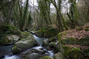 Cascate di monte Gelato