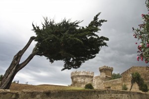 Castello di Populonia