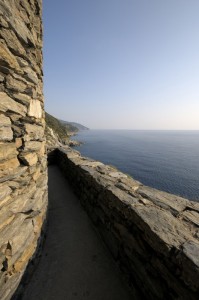 Intorno alla Torre Doria