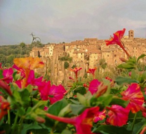 Vitorchiano in fiore