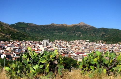 Guspini - Guspini e i suoi fichi d'india Guspini - Guspini e i suoi fichi d'india