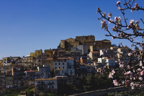 Caronia - Mandorlo in Fiore a Caronia Caronia - Mandorlo in Fiore a Caronia