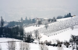 Neve a San Pietro