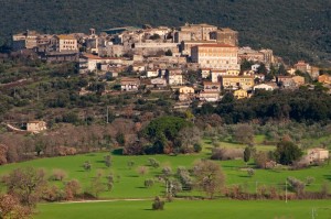 Gli alberi di Lugnano