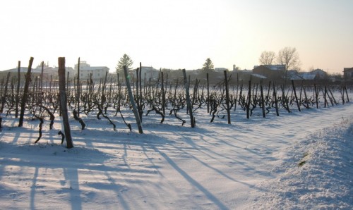 Predosa - mantovana e la neve