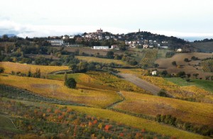 Montecarotto, citta’ del vino
