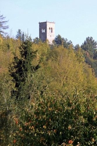 San Mauro di Saline - TOH ! ... un fungo San Mauro di Saline - TOH ! ... un fungo