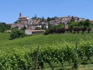 Vignale Monferrato