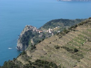 Mare,vigneti…e Corniglia