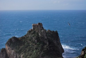 il gabbiano gioca a “giro giro tondo” sulla torre del Capo di Conca